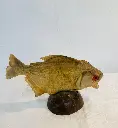 398542320_10168073857435307_183855908157854740_n.webp