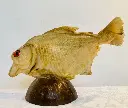 398573175_10168073857420307_211423700165736827_n.webp