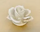 393593485_10167992252700307_4575845657865901704_n.webp