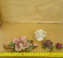 393800344_10167992252680307_6702590850501026092_n.webp