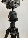 441885139_10168570974765307_1752638425015611993_n.webp