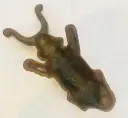 387763821_10167955357565307_7606957628770182531_n.webp