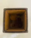 359723095_10167636414755307_2510784401290954497_n.webp