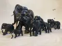 358411299_10167624742100307_8576685070977176802_n.webp