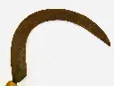453096945_305794929284444_1158124668579766326_n.webp