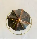 456607586_10169063870750307_4450634179579943580_n.webp