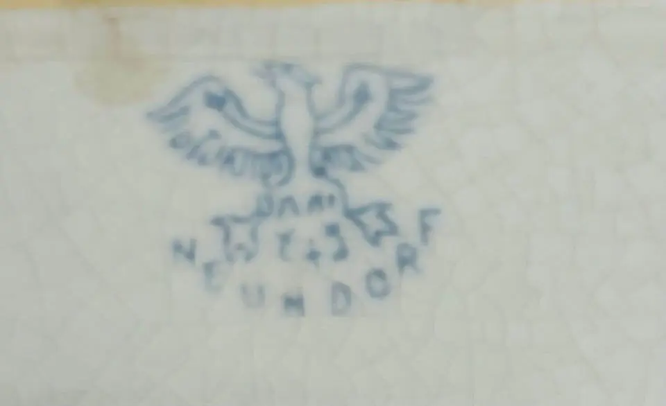 480567057_122111426732739578_674627346958731214_n.webp