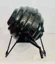 493952513_122124577028739578_7451853444508258176_n.webp