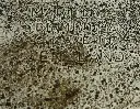 431165283_218498411347430_2282303081899097128_n.webp