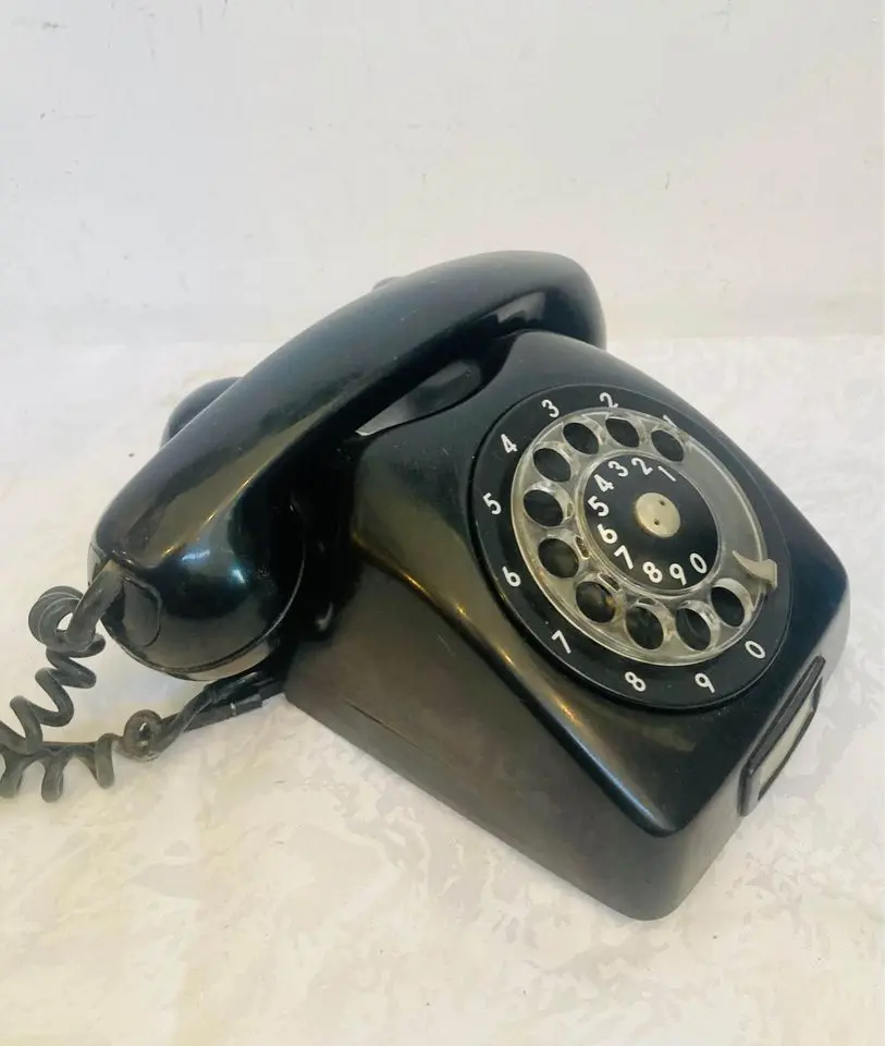 445169979_10168660751270307_5766863417007301423_n.webp