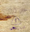 412347035_10168190940525307_5106378606858022747_n.webp