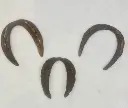 410857283_173789619151643_2807657615927403714_n.webp