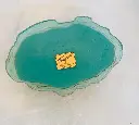 417414164_10168286159760307_5359827611064692888_n.webp