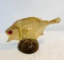 Vintage rare real decorative piranha fish! 23x14x4cm