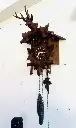Large antique 1940’s Original German Cuckoo Clock with Dear Head. 40x30x28cm serviced working.