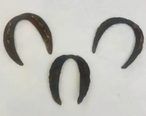 Original Cyprus Antiques Horse Shoes !