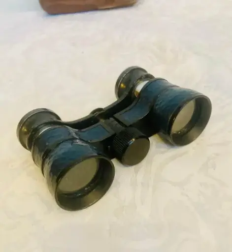 Antique collectibles beautiful German opera glasses with case! Working! 10x6x3cm